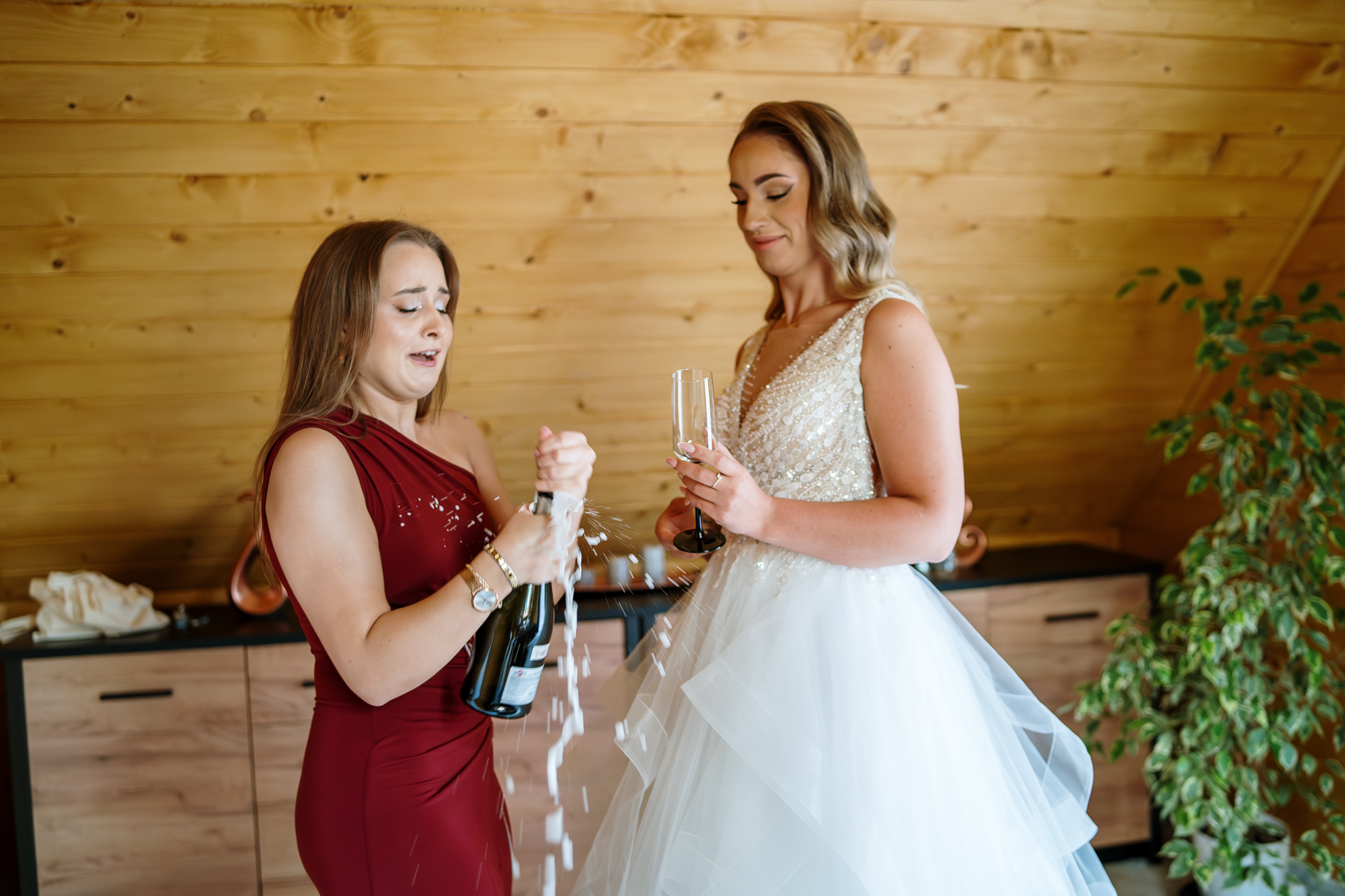 bialy-palac-w-niesiecinie